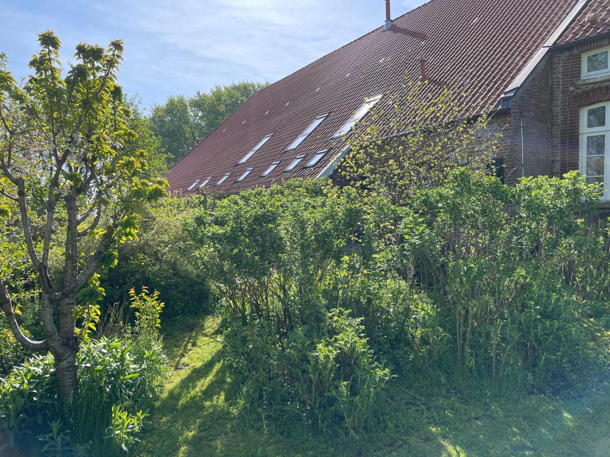 Ferienhof Spiegelhaus Krummhoern Luaran gambar