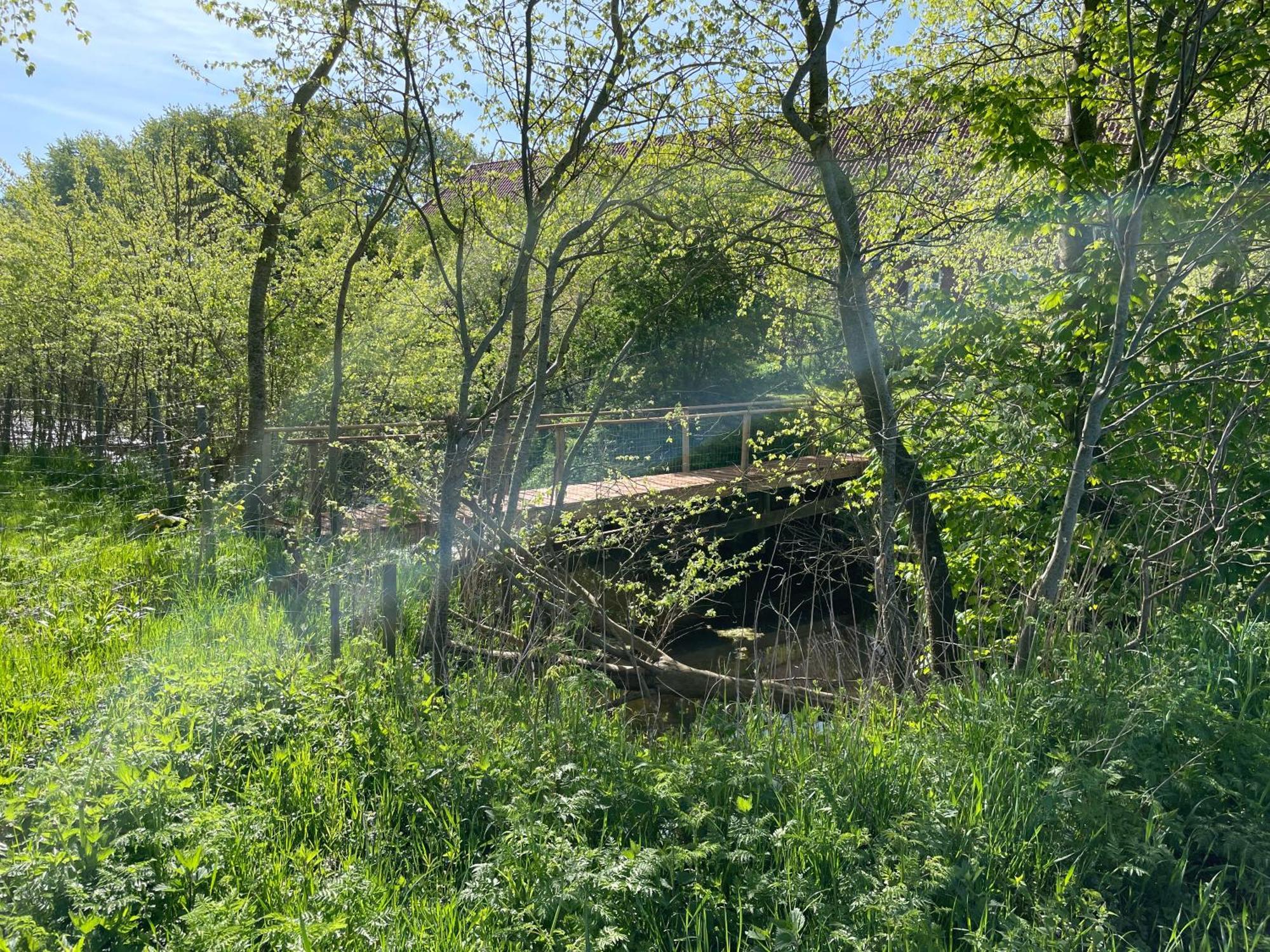 Ferienhof Spiegelhaus Krummhoern Luaran gambar