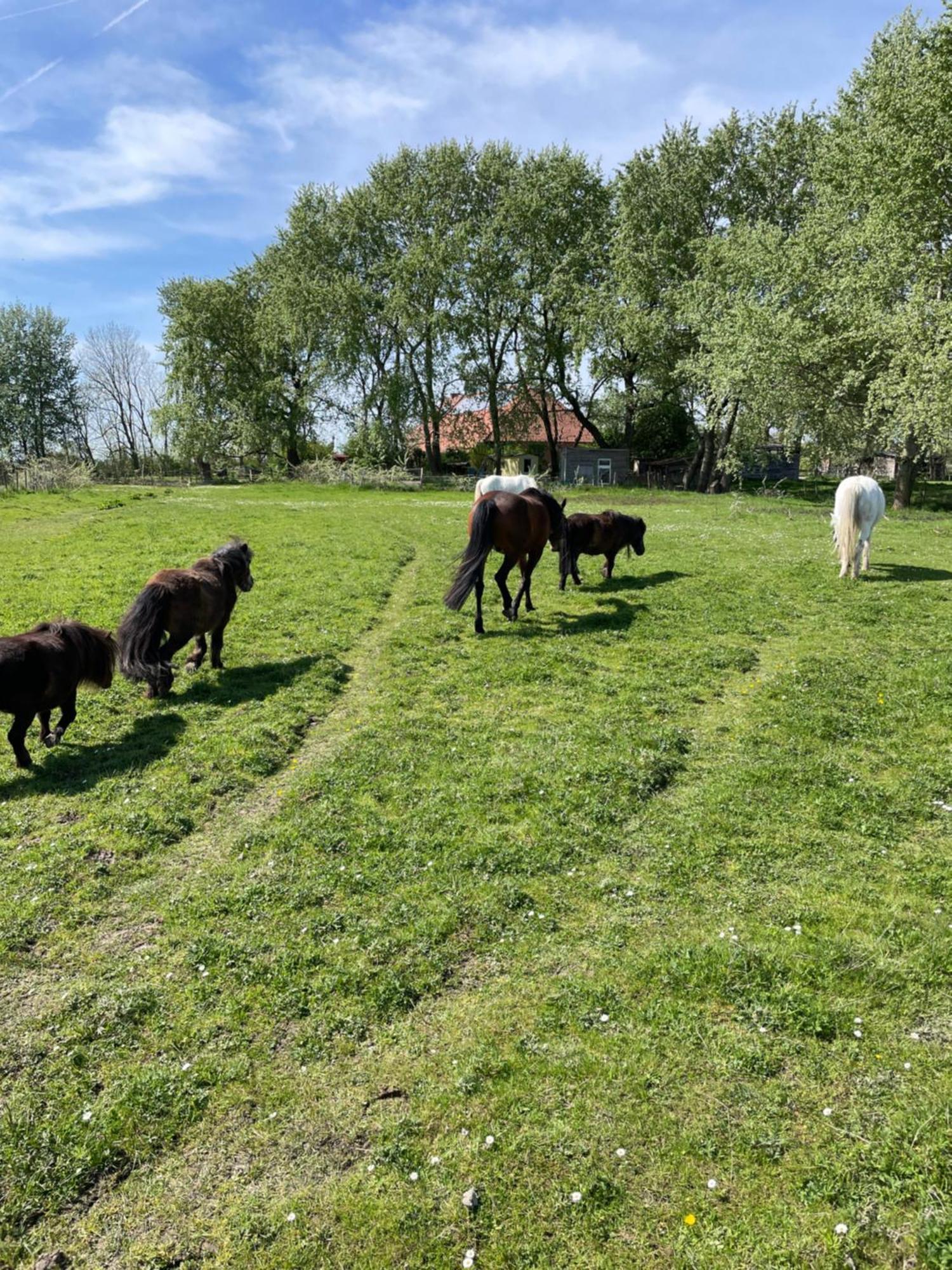 Ferienhof Spiegelhaus Krummhoern Luaran gambar