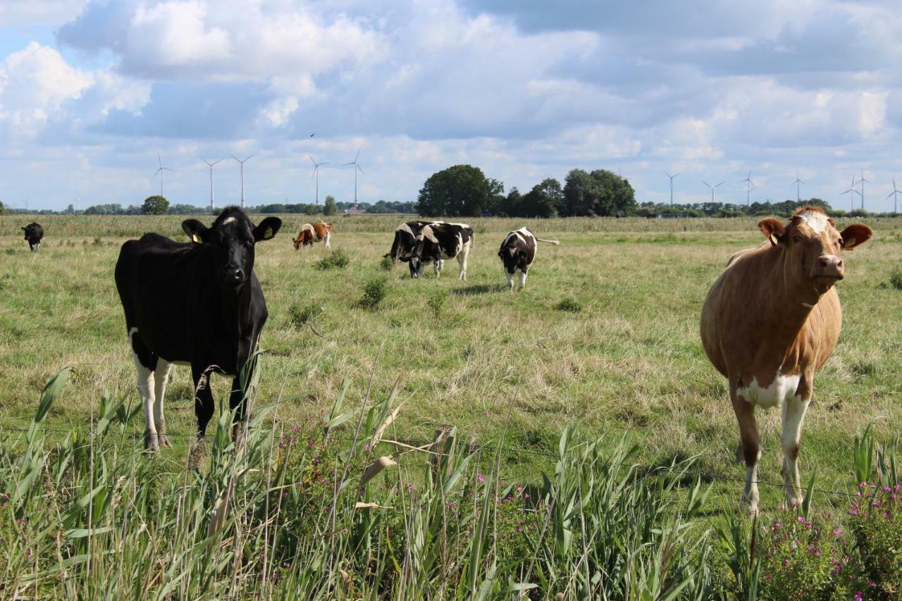 Ferienhof Spiegelhaus Krummhoern Luaran gambar